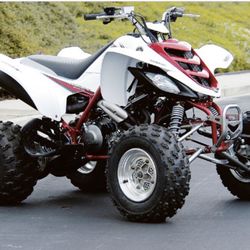 Raptor 660 