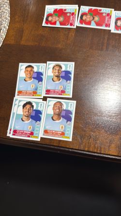 Panini World Cup Stickers