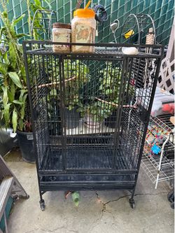 Bird cage