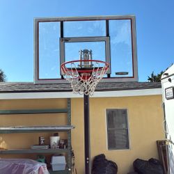 Lifetime Basketball Hoop