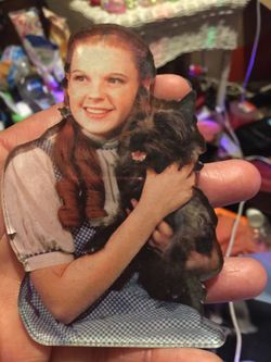 Vintage refrigerator magnet