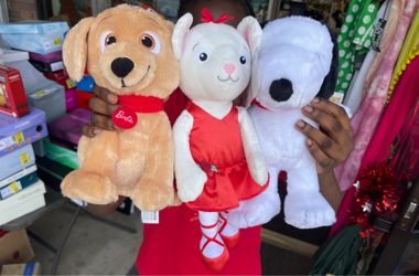 Stuff Animals