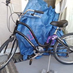 LADIES HIGH GRADE BICYCLE BARLEY USED