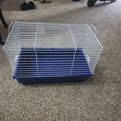 Bunny Cage 