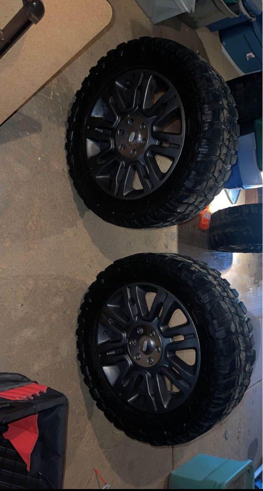 2019 Ford Truck rims On Muddy Tires TRADE ONLY