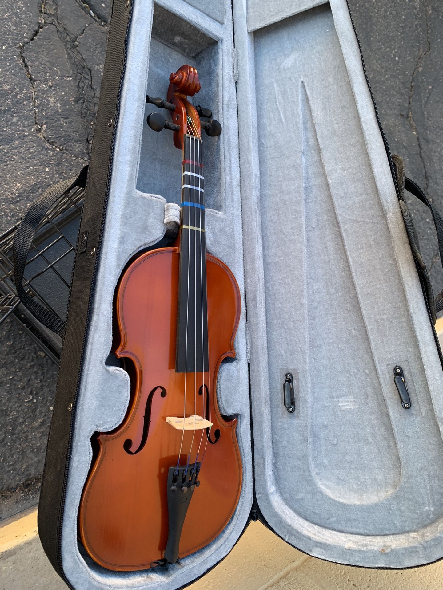 Violin and 2 cases