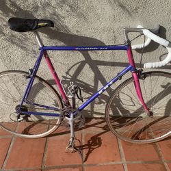 Vintage KHS Triathlete Pro Road Bike