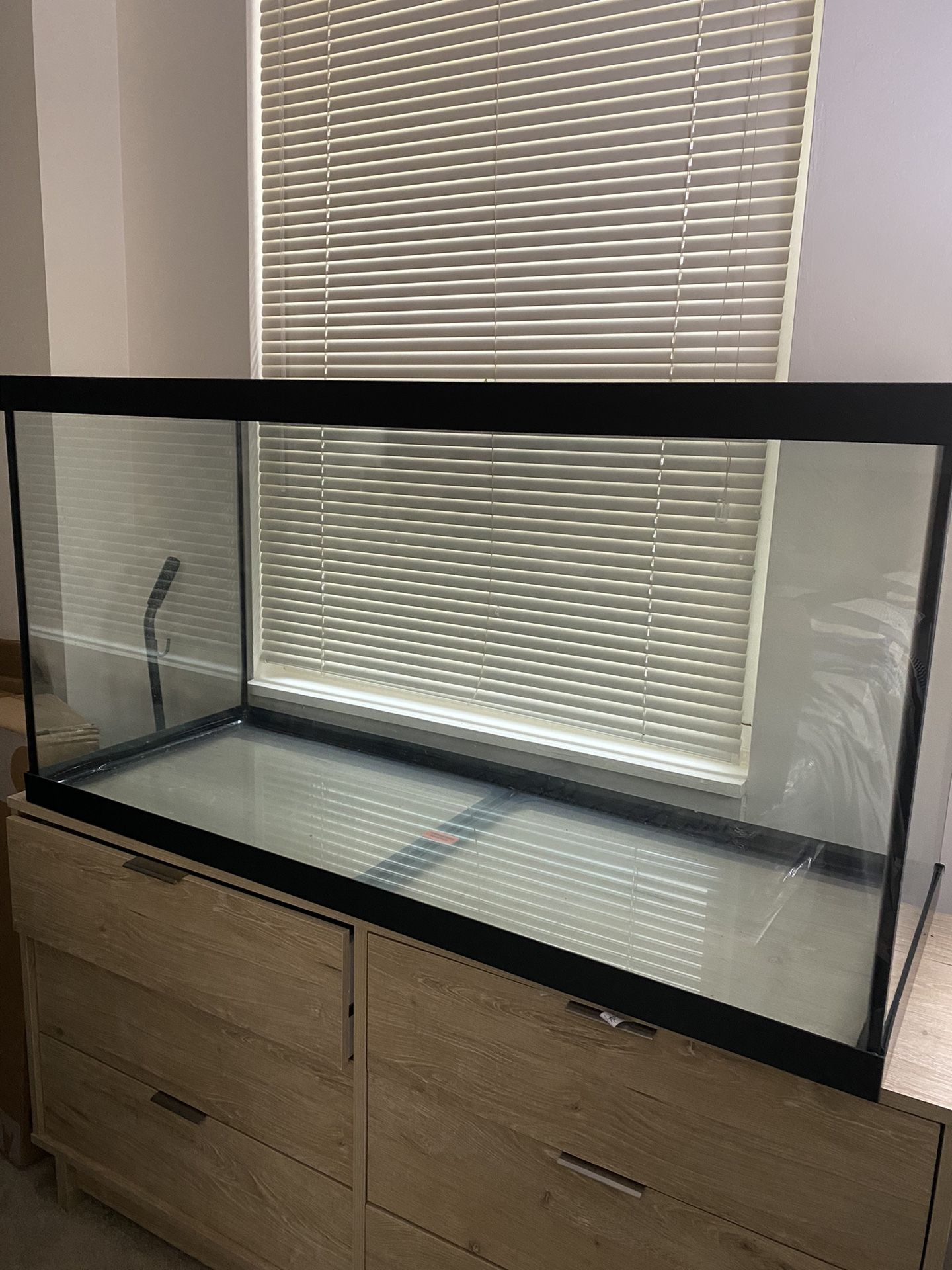 Fish Tank