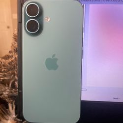Apple iPhone 16 in Teal Green