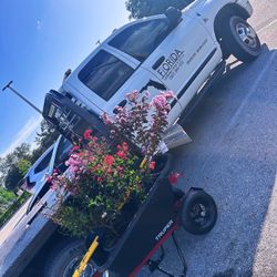 Sod Supplier