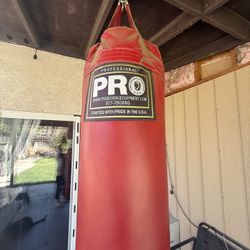 Pro-boxing heavybag