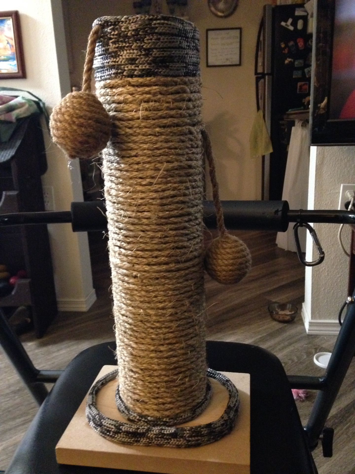 Home Designed Cat Scratch Post-pending