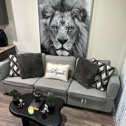 🚨Gray Storage Couch – Clean, Modern, Must   Go Today‼️