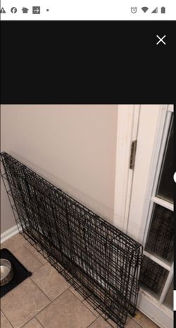 Dog Crate Free