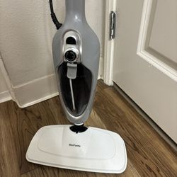 Steam Mop