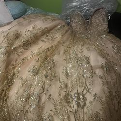 Ballroom Dress/Quinceanera/Wedding Dress/