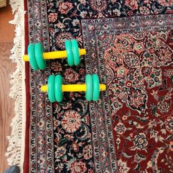 Ten Pound Dumbbells 