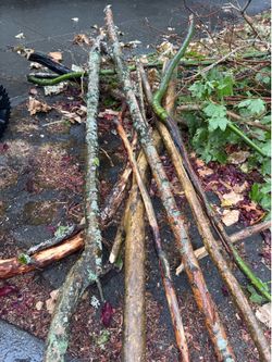 Kindling / firewood