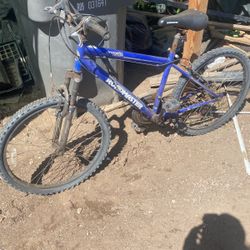 Mountain bike 