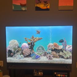 TCL 55” 4K HDR Smart TV