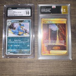 Pokémon Nidoqueen And Magma Basin