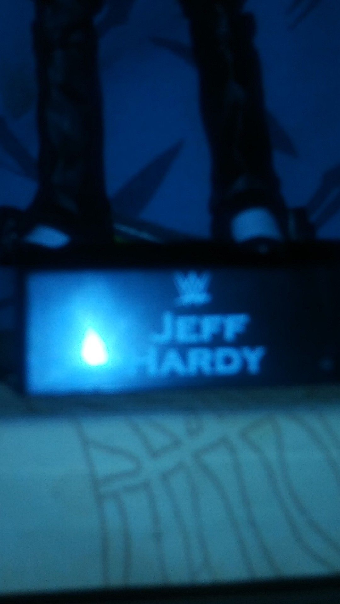 Wwe elite jeff hardy with stand