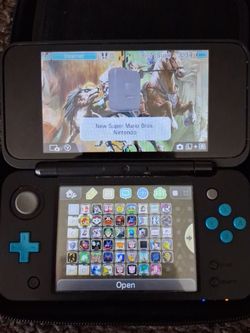 Modded 2ds