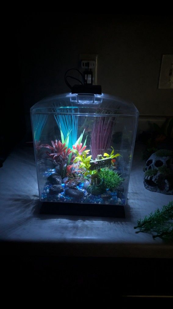 Aquarium 