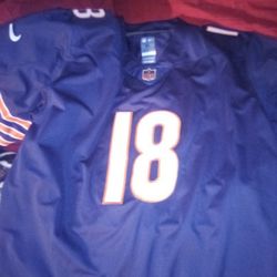 Bears JERSEY WILLIAMS # 18