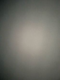 Macfox