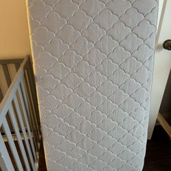 Crib Mattress Newton Brand