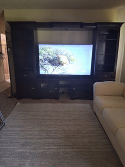 Free entertainment center