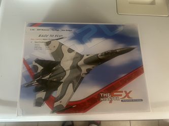 The Minator FX RC Plane
