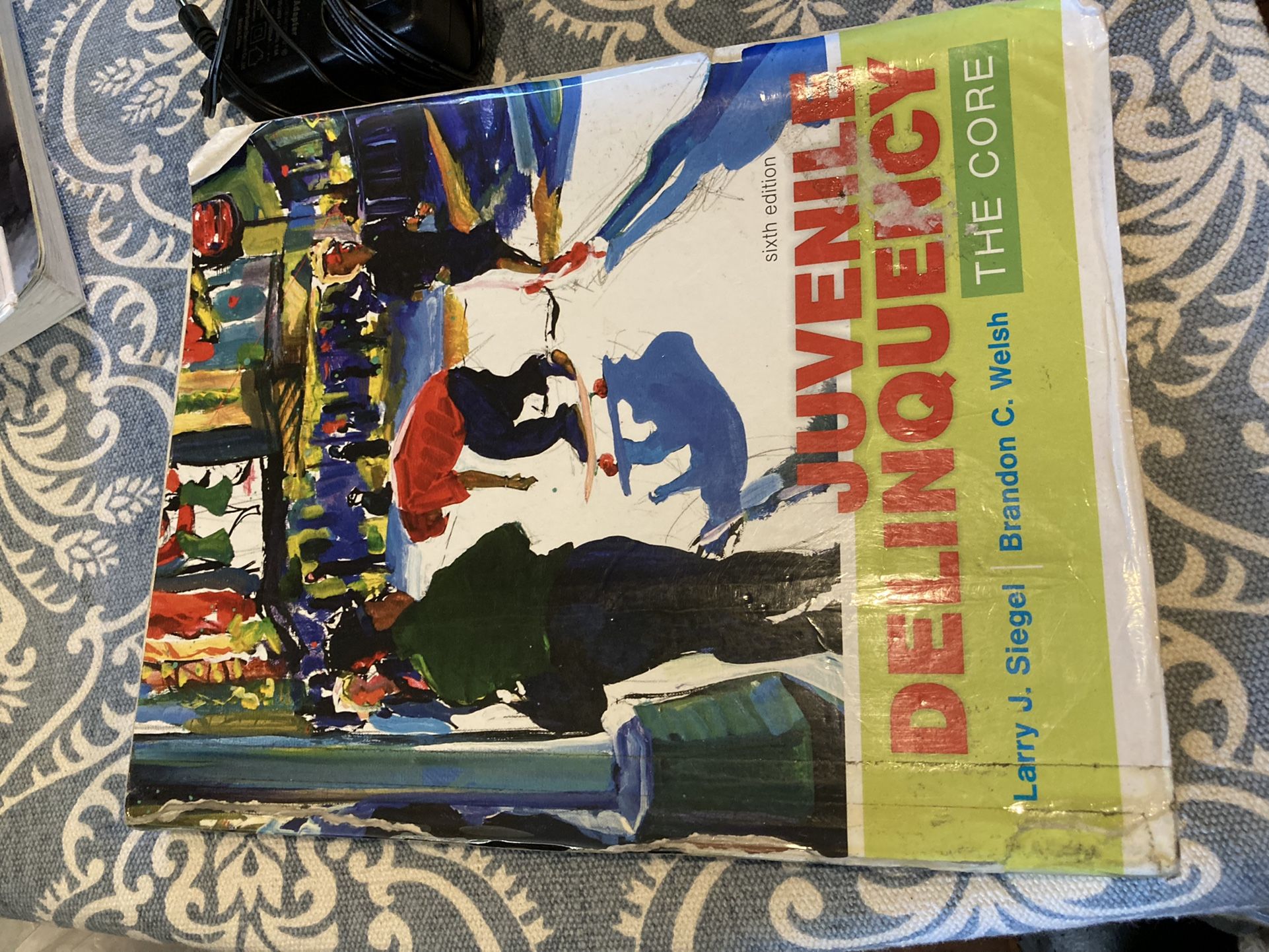 Juvenile Delinquency 6th Edition