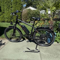 Ebike - Rad Rover E-bike (2 of 2)