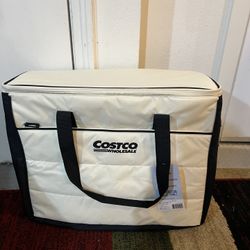 Costco Japan exclusive insulated refrigerator cooler bag - Rare!