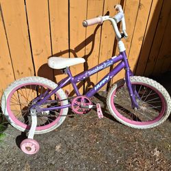 BMX BIKE 16in rims by DYNACRAFT