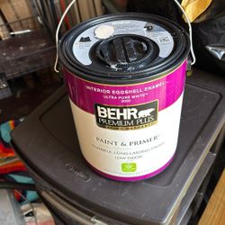BEHR PREMIUM PLUS  PAINT, AND PRIMER LIGHT BEIGE NEW NEVER BEEN USED. I JUST FLASHED A LITTLE WHITE PAINT ON THE TOP OF IT THOUGH.