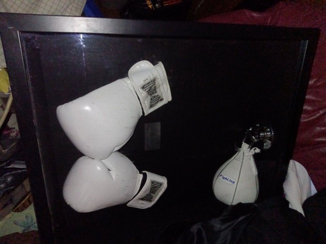 Top Ring Framed Boxing Gloves And Speedball