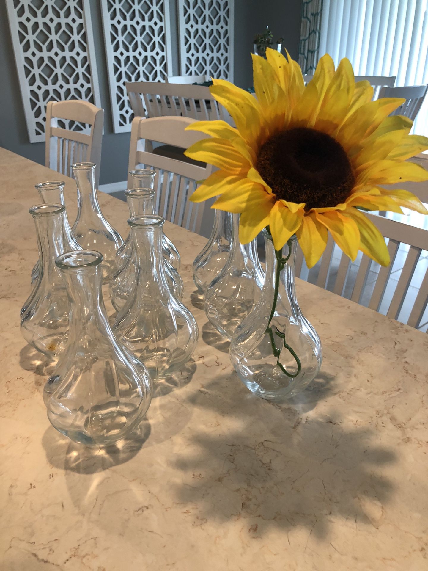 5 Glass Vases 
