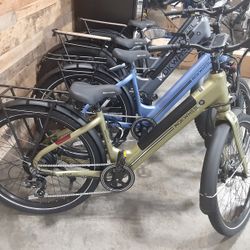 Electric Bike 