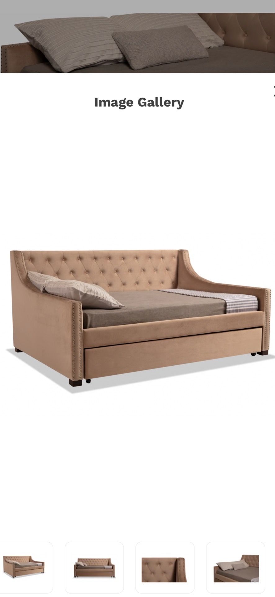 Beige day bed . 100$ obo
