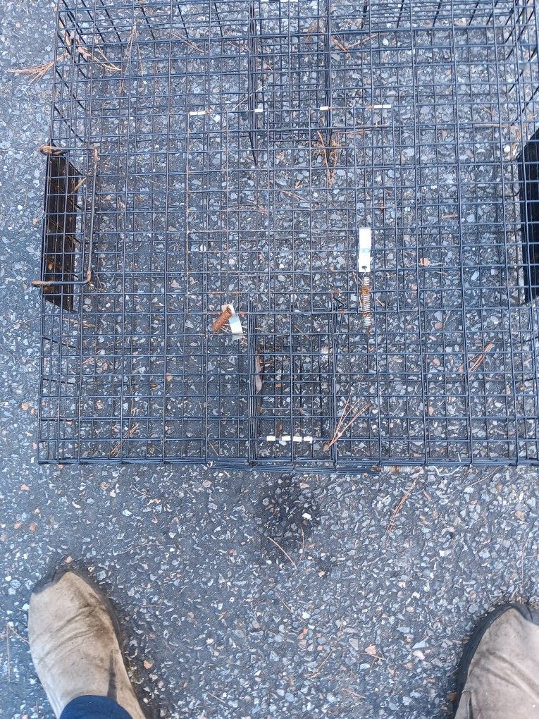 Humane Trap Great Trap