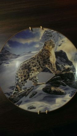 Ovelord-collector plate