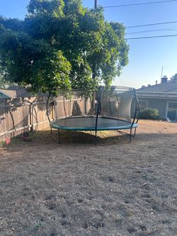 Trampoline