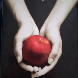 Twilight book
