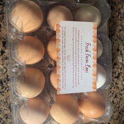 $4.50 Dozen Fresh Eggs from Young Backyard Hens