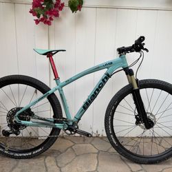 Bianchi Kuma hard tail Mountain Bike 29er Medium