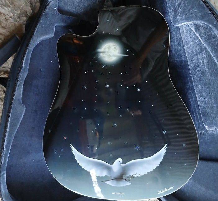 Estaban Celestial Night Limited Edition Collectors Guitar In Mint Condition 