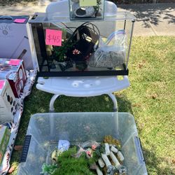 5Gal Aquarium, 1Gal Aquarium, And Freebies (decorations)